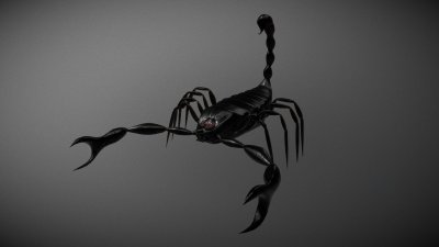 Обои на телефон Скорпион