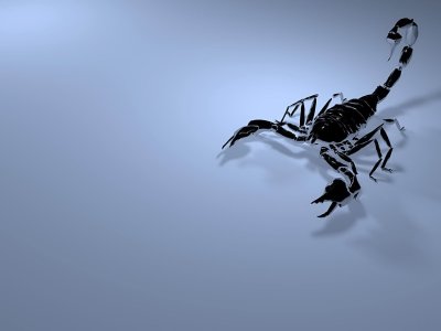 Белый Скорпион