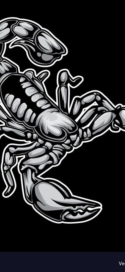 Обои на телефон Скорпион