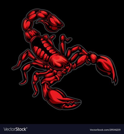 Скорпион яркий