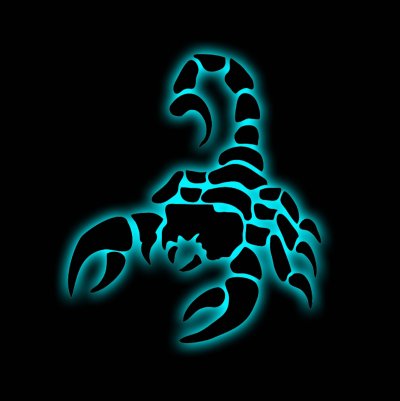 Скорпион на черном фоне