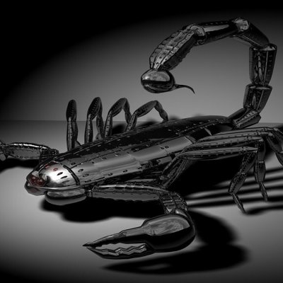 Обои Скорпион