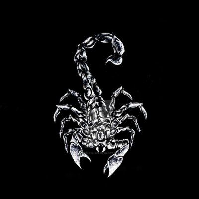 Скорпион картинки