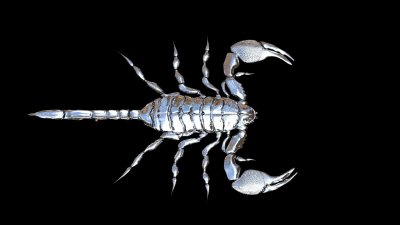 Обои Скорпион