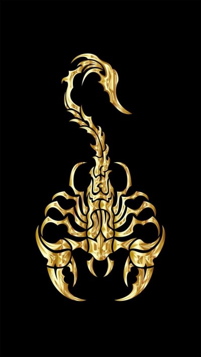 Скорпион на черном фоне