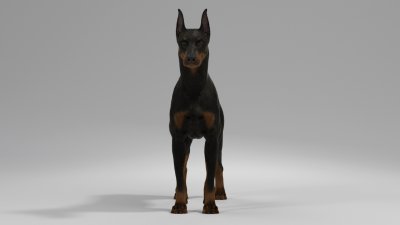 Доберман 4к