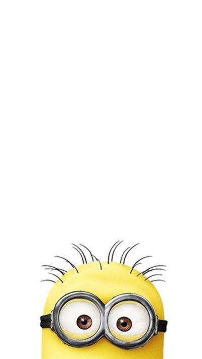 Миньон выглядывает