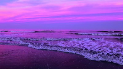 Перпл Бич 365