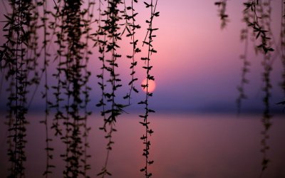 Красивый пейзаж