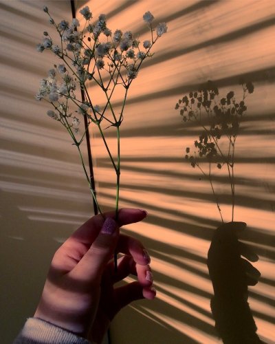 Картинки Эстетика