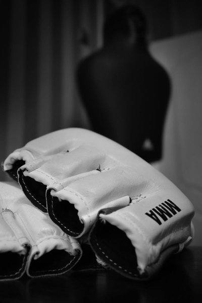 Боксерские перчатки Alexander Wang