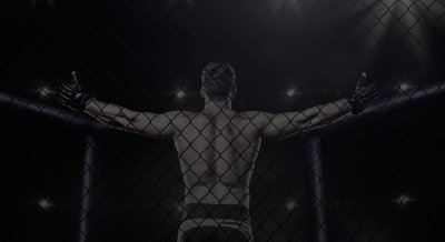 UFC октагон бой