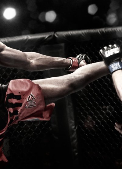 Смешанные единоборства