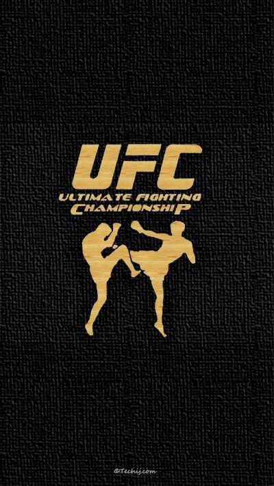 UFC символ