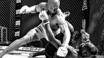 Единоборства ММА