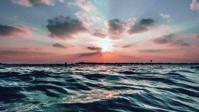 Зеленое море Эстетика