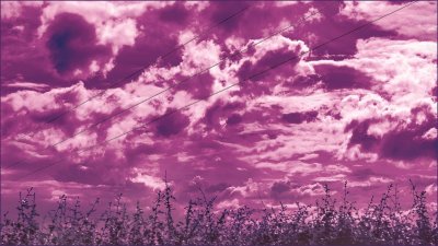 Фиолетовое небо