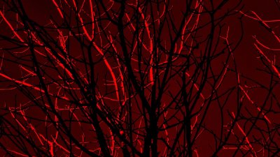 Кровавый лес