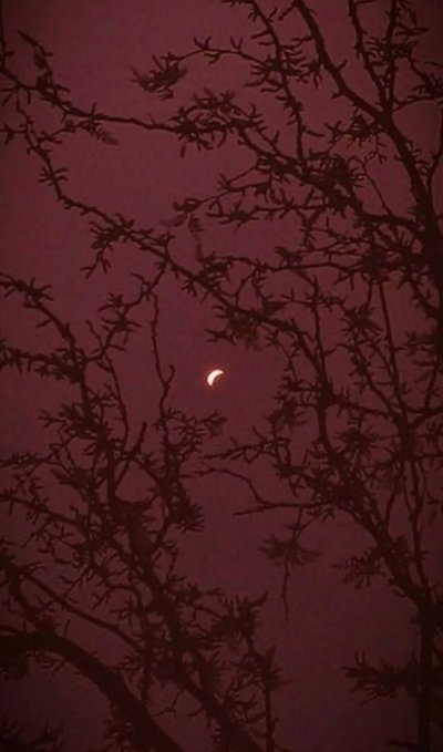 Эстетика красного и коричневого