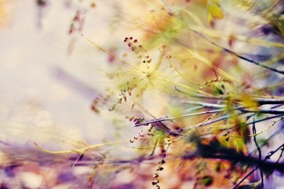 Размытый фон