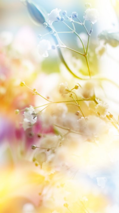 Красивый весенний фон