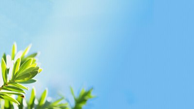 Весенний фон для презентации