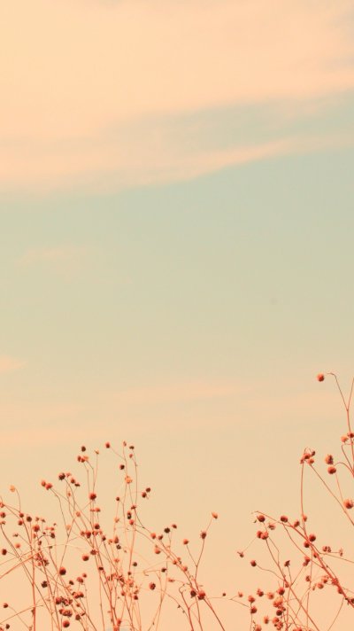 Пастельный фон