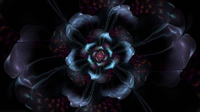 Цветы на темном фоне