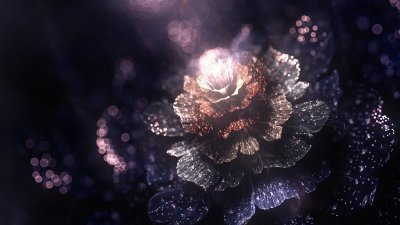 Цветы на темном фоне