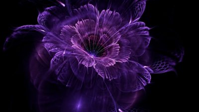 Цветы на темном фоне