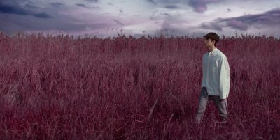 Эра Levanter Stray Kids