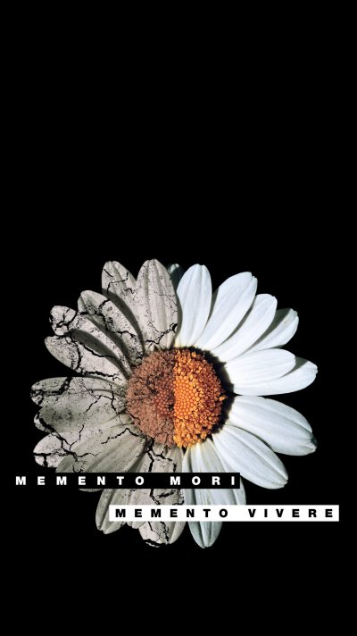 Обои мементо мори