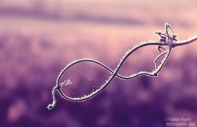 Знак бесконечности в природе