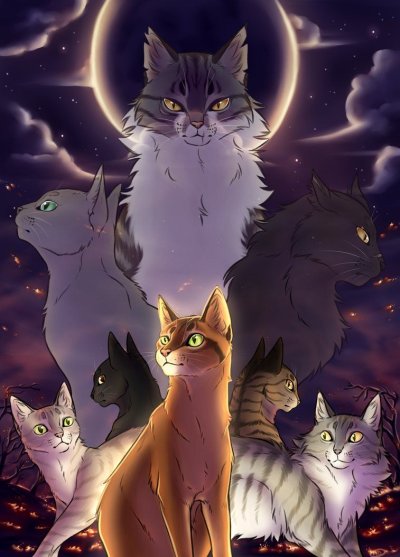 Обои на телефон с котами воителями