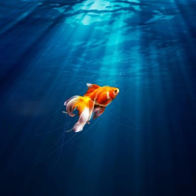 Рыбки плавают