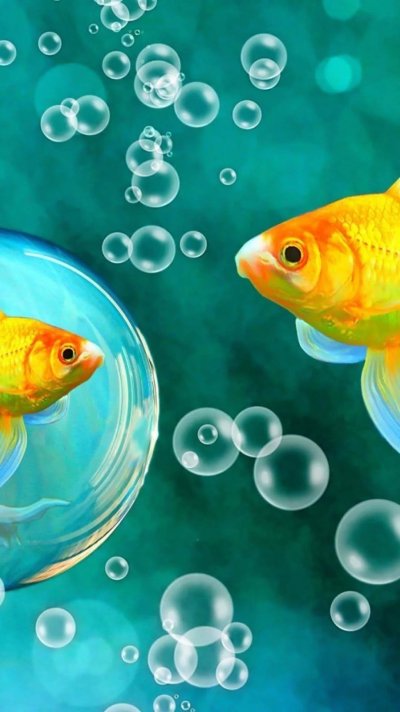 Рыбки для аквариума