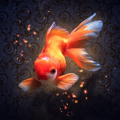 Золотая рыбка картинка красивая