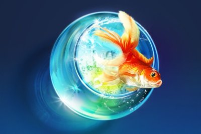 Красивые рыбы