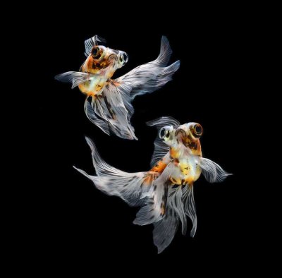 Visarute Angkatavanich