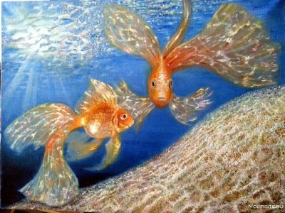 Большая Золотая рыбка