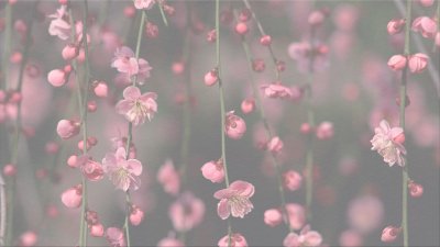 Красивый нежный фон