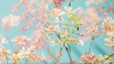 Весенний фон