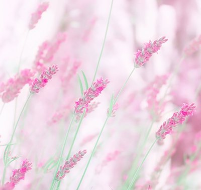 Пастельный фон