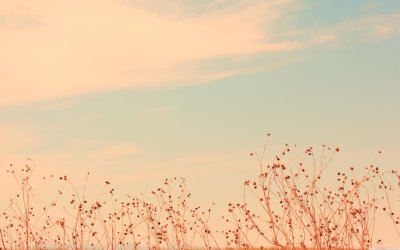 Красивый фон в пастельных тонах