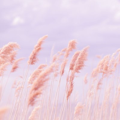 Цветы в пастельных тонах