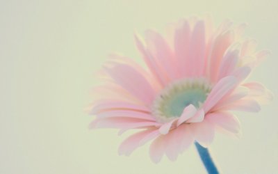 Фон пастельные тона