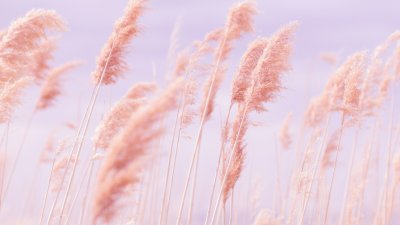 Красивый фон в пастельных тонах