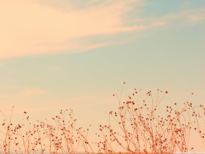 Фон пастельные тона