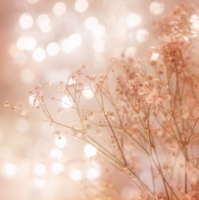 Красивый фон в пастельных тонах