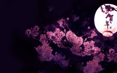 Ночная Сакура